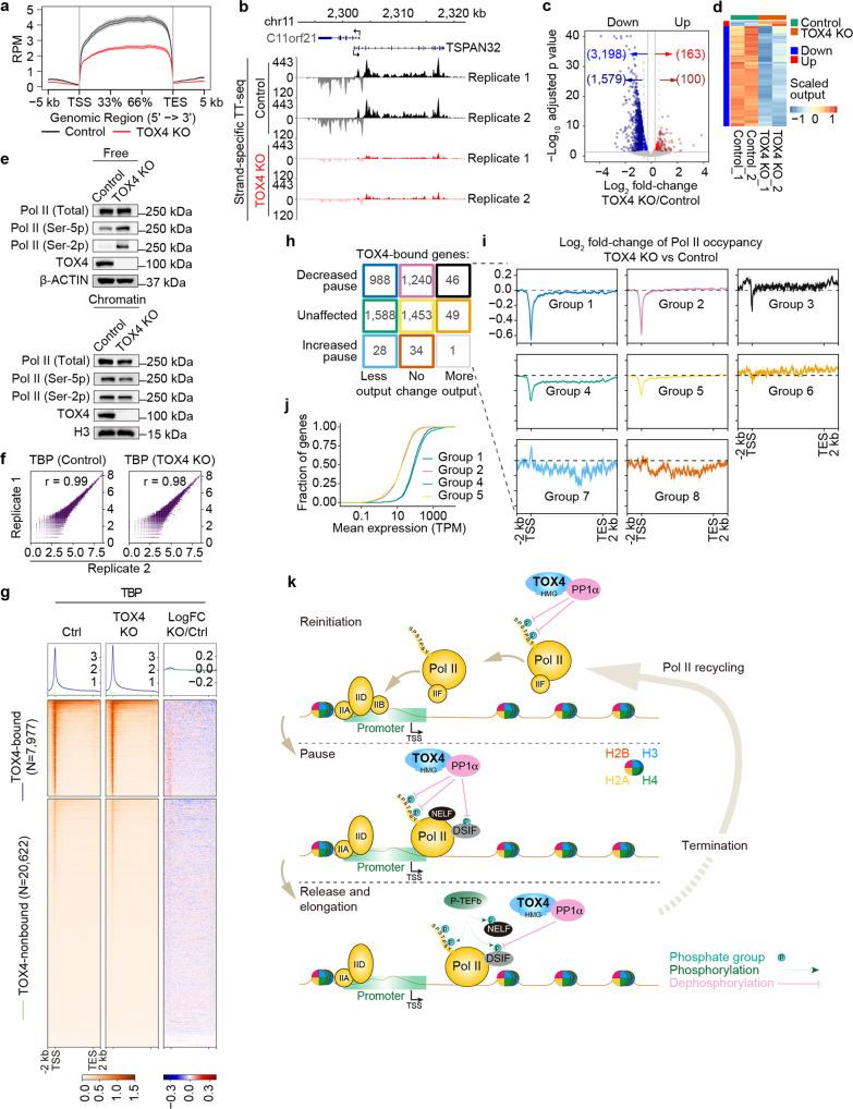 https://cdn.ncbi.nlm.nih.gov/pmc/blobs/a9ee/8975821/7af4413f7c5c/42003_2022_3214_Fig7_HTML.jpg