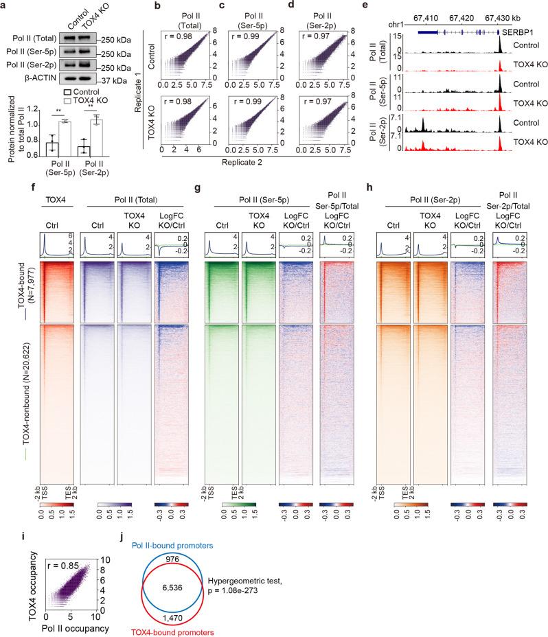 https://cdn.ncbi.nlm.nih.gov/pmc/blobs/a9ee/8975821/ed43b2bf9917/42003_2022_3214_Fig2_HTML.jpg