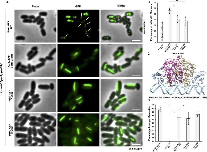 https://cdn.ncbi.nlm.nih.gov/pmc/blobs/a9ef/12199157/e45e2fa9e770/gkaf537fig1.jpg