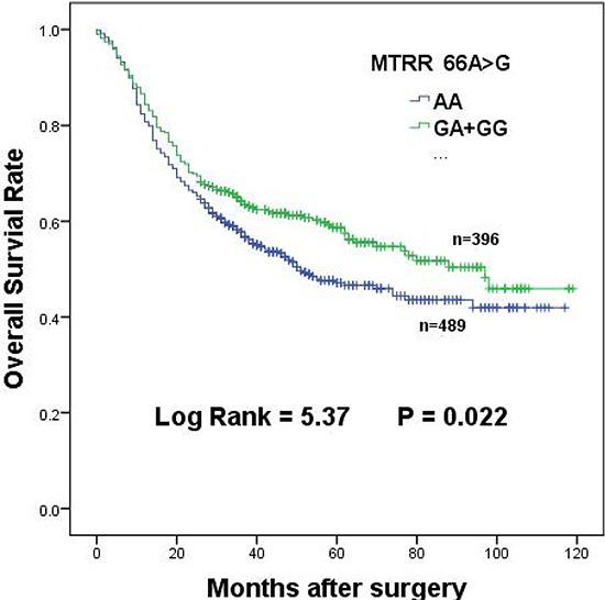 https://cdn.ncbi.nlm.nih.gov/pmc/blobs/a9ef/4496239/53f6e82df9fa/oncotarget-06-9564-g001.jpg
