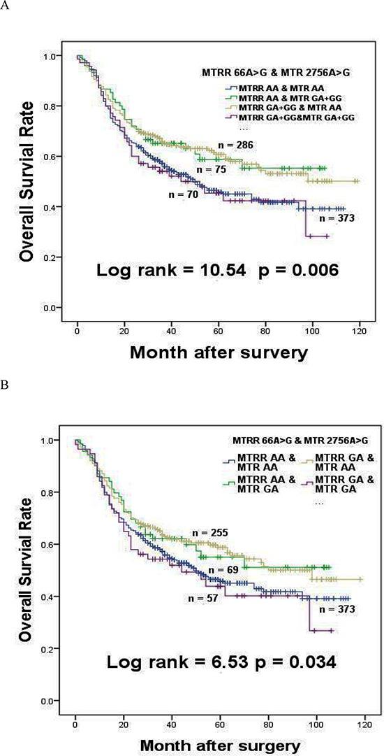 https://cdn.ncbi.nlm.nih.gov/pmc/blobs/a9ef/4496239/8e34919dda81/oncotarget-06-9564-g002.jpg