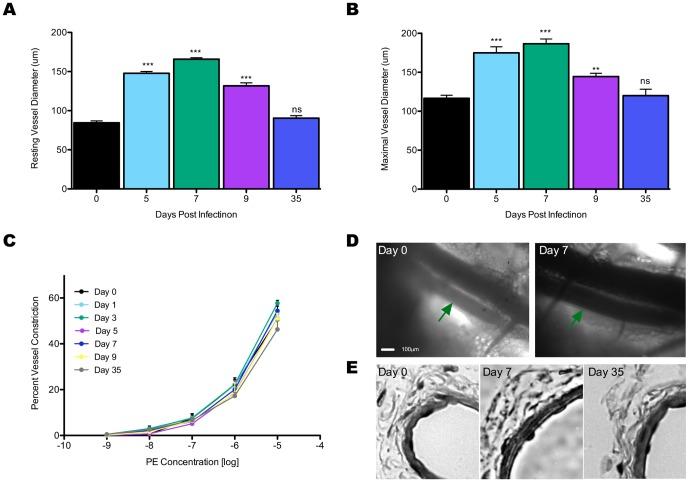 https://cdn.ncbi.nlm.nih.gov/pmc/blobs/a9f0/3616017/bf7387b34707/pone.0060741.g001.jpg