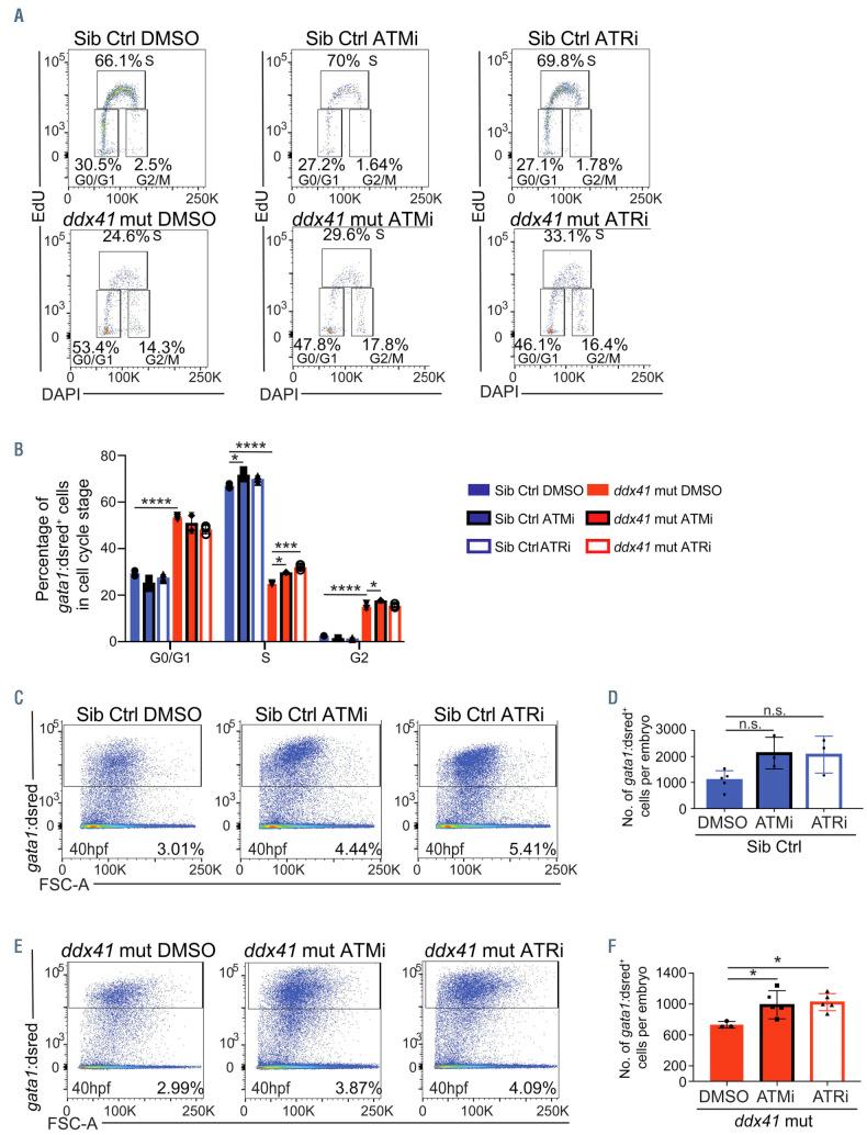 https://cdn.ncbi.nlm.nih.gov/pmc/blobs/a9f1/8883538/d6777a9661d2/107644.fig5.jpg