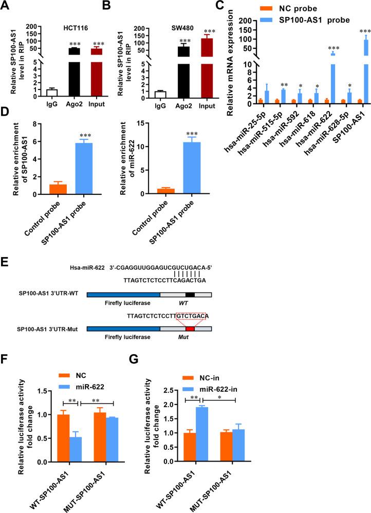 https://cdn.ncbi.nlm.nih.gov/pmc/blobs/a9f1/9883267/625ddaba9ebb/41418_2022_1049_Fig7_HTML.jpg