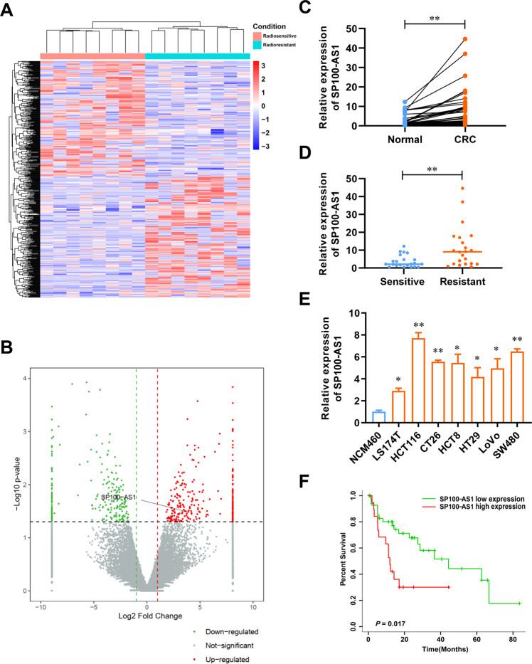 https://cdn.ncbi.nlm.nih.gov/pmc/blobs/a9f1/9883267/a57f1aa02aaf/41418_2022_1049_Fig1_HTML.jpg