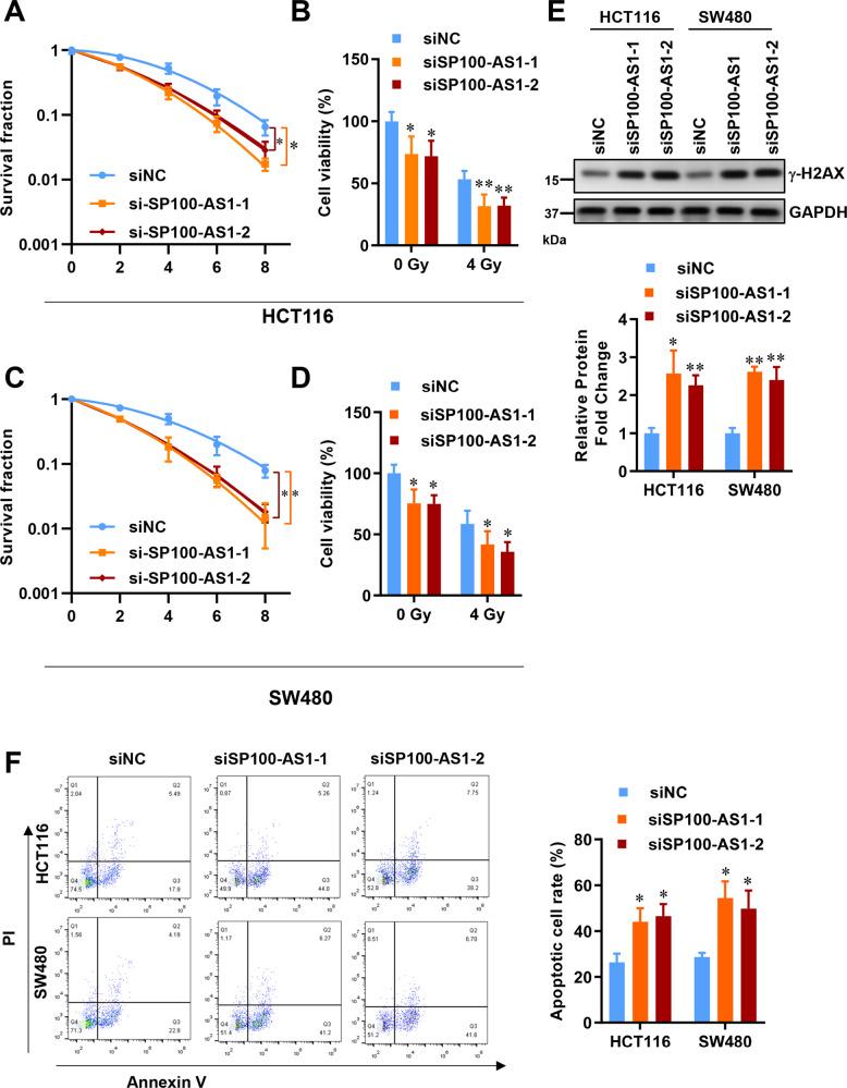 https://cdn.ncbi.nlm.nih.gov/pmc/blobs/a9f1/9883267/dabaf84d5efb/41418_2022_1049_Fig2_HTML.jpg