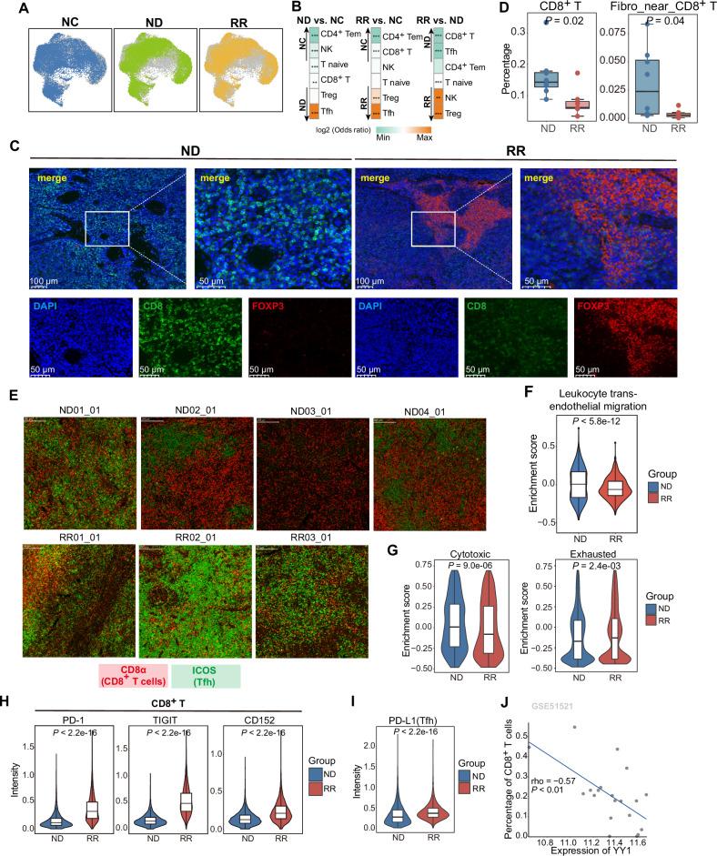 https://cdn.ncbi.nlm.nih.gov/pmc/blobs/a9f4/11655871/031d00100612/41408_2024_1199_Fig4_HTML.jpg