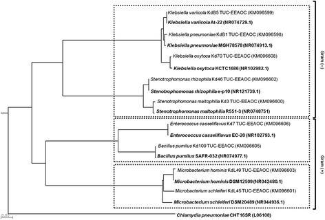 https://cdn.ncbi.nlm.nih.gov/pmc/blobs/a9f6/4385043/1a94501ae53d/13568_2015_101_Fig2_HTML.jpg
