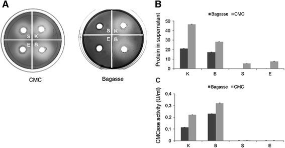 https://cdn.ncbi.nlm.nih.gov/pmc/blobs/a9f6/4385043/bc021e4093ef/13568_2015_101_Fig4_HTML.jpg