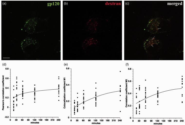 https://cdn.ncbi.nlm.nih.gov/pmc/blobs/a9f6/4720180/1f449303da76/10.1177_1759091414568186-fig6.jpg