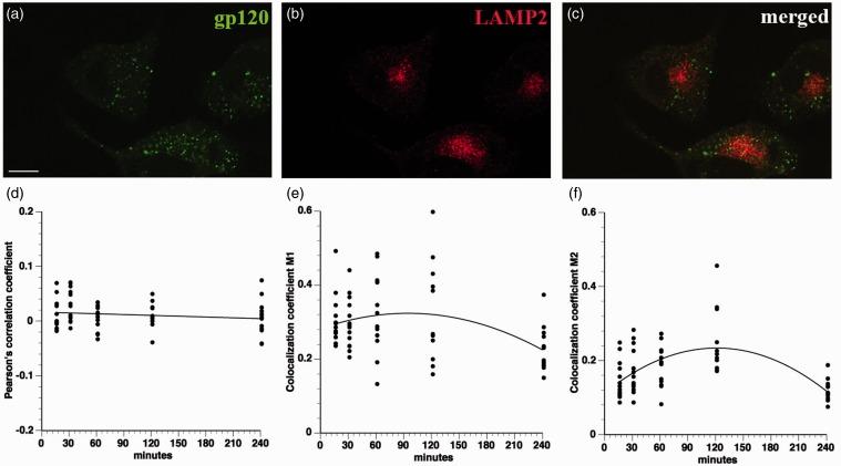 https://cdn.ncbi.nlm.nih.gov/pmc/blobs/a9f6/4720180/e75745e35c72/10.1177_1759091414568186-fig5.jpg