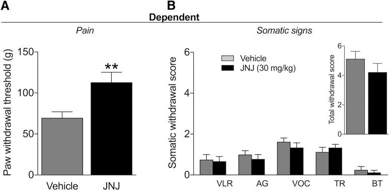 https://cdn.ncbi.nlm.nih.gov/pmc/blobs/a9f8/6027959/01eaa568903a/enu0031826510003.jpg