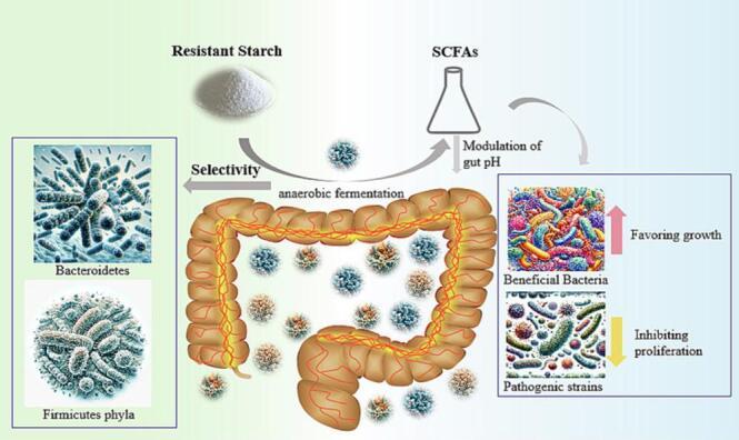 https://cdn.ncbi.nlm.nih.gov/pmc/blobs/a9fb/10819196/8af3cc86690c/gr2.jpg