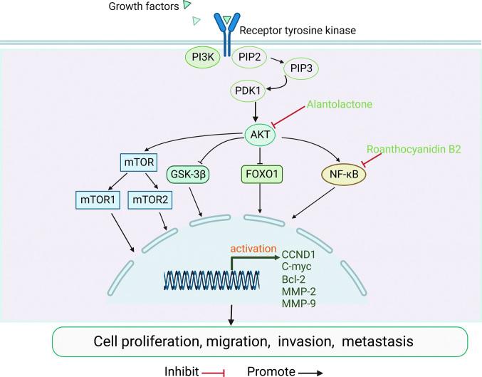 https://cdn.ncbi.nlm.nih.gov/pmc/blobs/a9fc/10586865/108dc12493e5/cm9-136-2412-g002.jpg