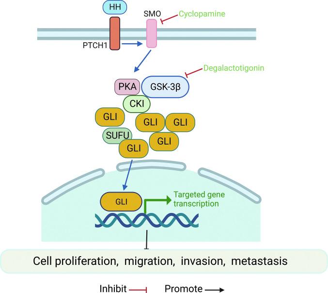 https://cdn.ncbi.nlm.nih.gov/pmc/blobs/a9fc/10586865/6e67967470d8/cm9-136-2412-g003.jpg