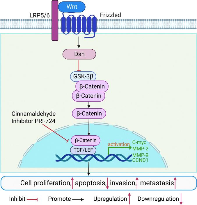 https://cdn.ncbi.nlm.nih.gov/pmc/blobs/a9fc/10586865/b129aba7be16/cm9-136-2412-g001.jpg
