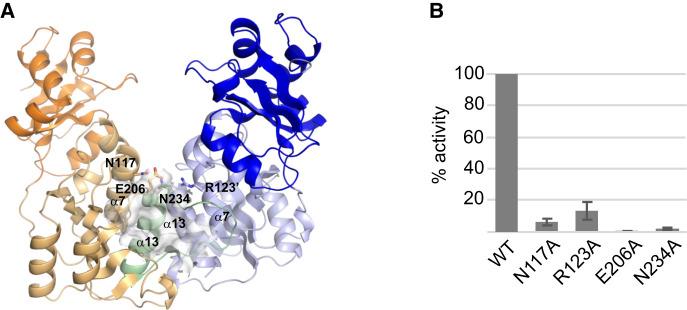 https://cdn.ncbi.nlm.nih.gov/pmc/blobs/a9fc/9380741/2c21db842378/1185f07.jpg