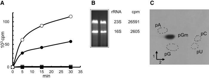 https://cdn.ncbi.nlm.nih.gov/pmc/blobs/a9fc/9380741/a66bc20ed756/1185f01.jpg