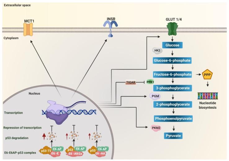https://cdn.ncbi.nlm.nih.gov/pmc/blobs/a9fe/7999907/6a8e2d672e61/pathogens-10-00347-g001.jpg