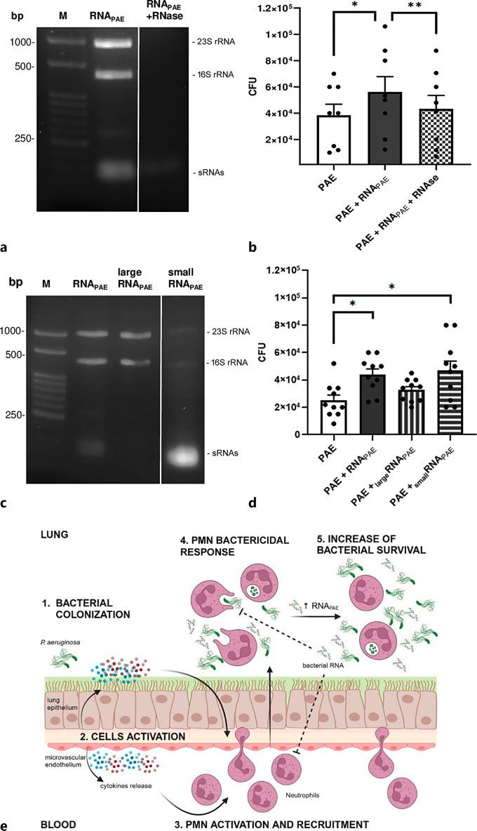 https://cdn.ncbi.nlm.nih.gov/pmc/blobs/aa02/11521516/d023527c6c00/jin-2024-0016-0001-541414_F05.jpg