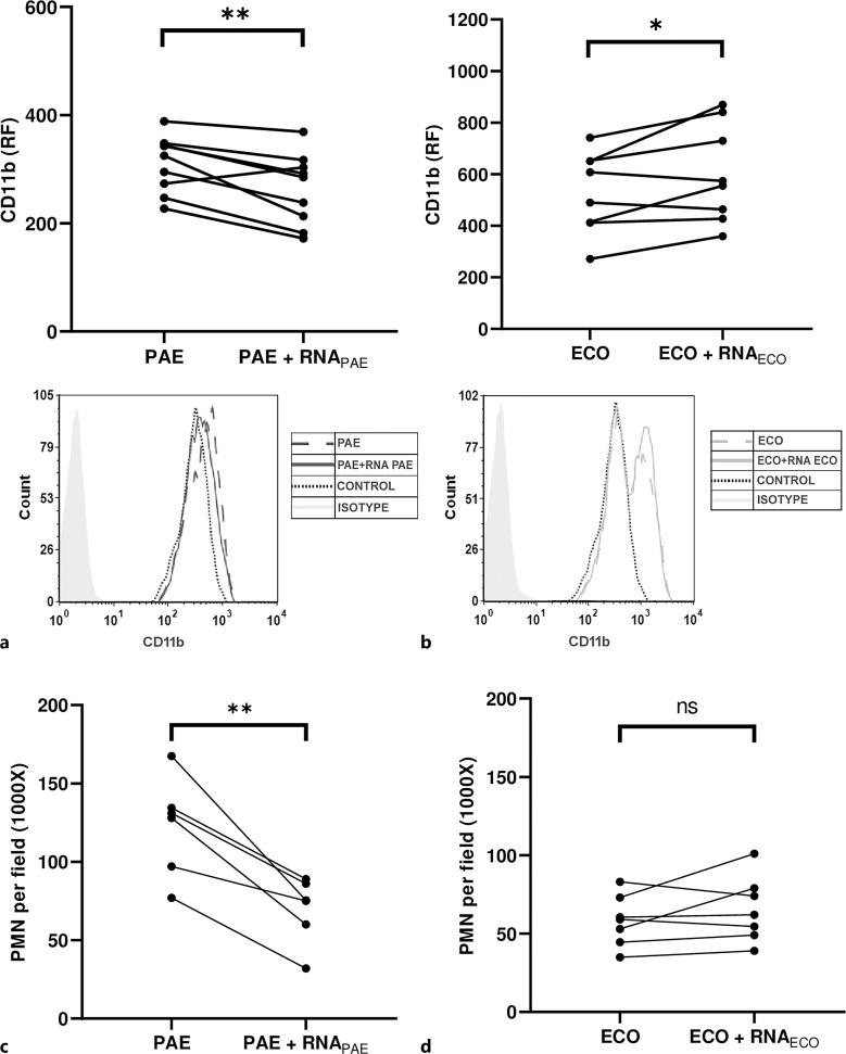 https://cdn.ncbi.nlm.nih.gov/pmc/blobs/aa02/11521516/fd06a449fab1/jin-2024-0016-0001-541414_F03.jpg