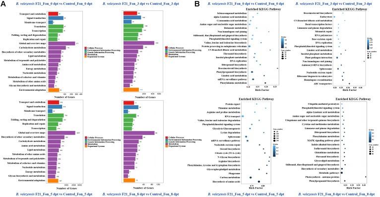 https://cdn.ncbi.nlm.nih.gov/pmc/blobs/aa02/6456681/fdc84c7eeace/fmicb-10-00652-g005.jpg