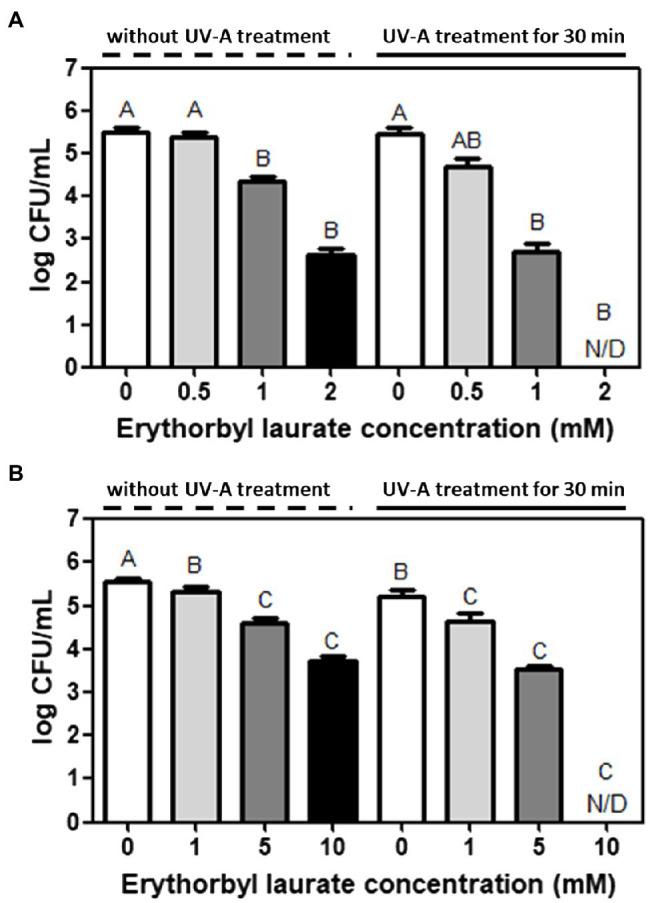 https://cdn.ncbi.nlm.nih.gov/pmc/blobs/aa05/8322444/8881ba16949d/fmicb-12-682900-g001.jpg