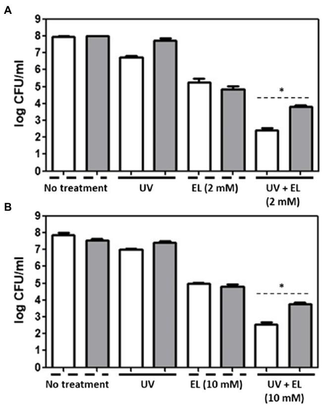 https://cdn.ncbi.nlm.nih.gov/pmc/blobs/aa05/8322444/cbff18d35405/fmicb-12-682900-g003.jpg