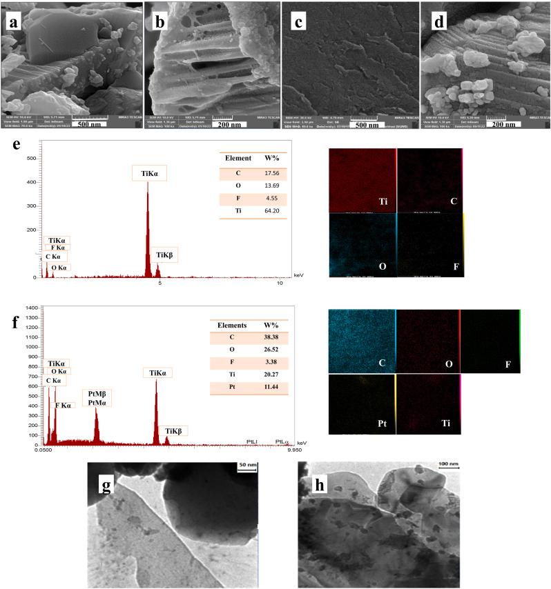 https://cdn.ncbi.nlm.nih.gov/pmc/blobs/aa06/10259158/a66194c27c66/gr1_lrg.jpg