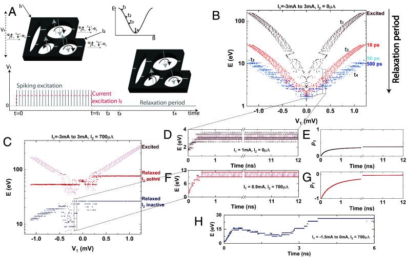 https://cdn.ncbi.nlm.nih.gov/pmc/blobs/aa07/10962991/987c4220a299/pnas.2314995121fig03.jpg