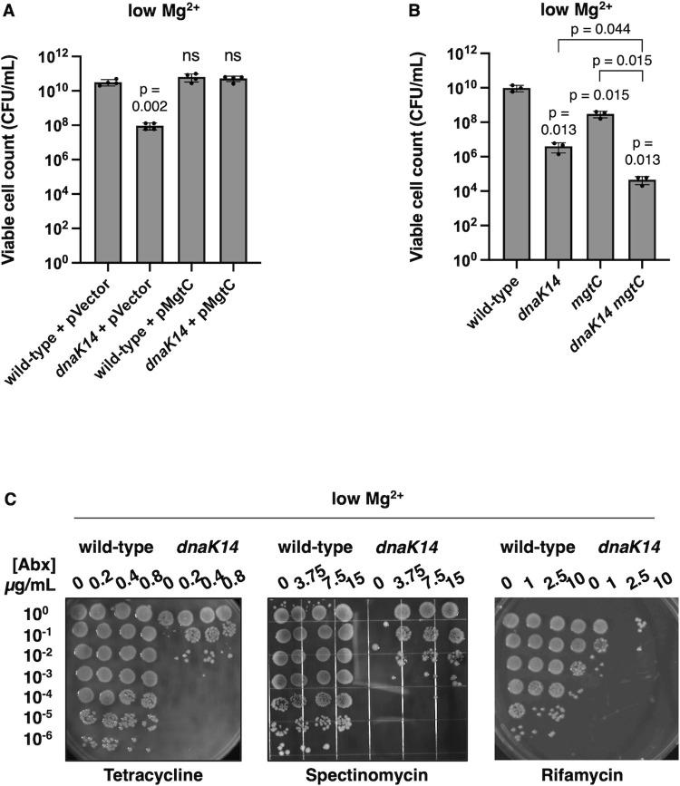 https://cdn.ncbi.nlm.nih.gov/pmc/blobs/aa07/10994381/7b1ec07749f5/pbio.3002560.g007.jpg