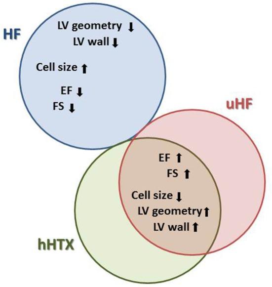 https://cdn.ncbi.nlm.nih.gov/pmc/blobs/aa08/5069686/1c8ff230b00f/fcvm-03-00034-g002.jpg