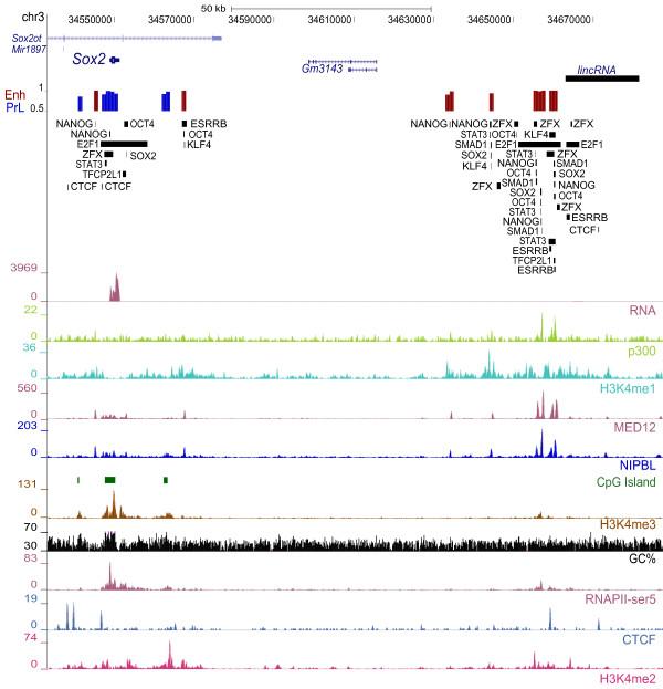 https://cdn.ncbi.nlm.nih.gov/pmc/blobs/aa09/3406964/0d69646179b1/1471-2164-13-152-6.jpg