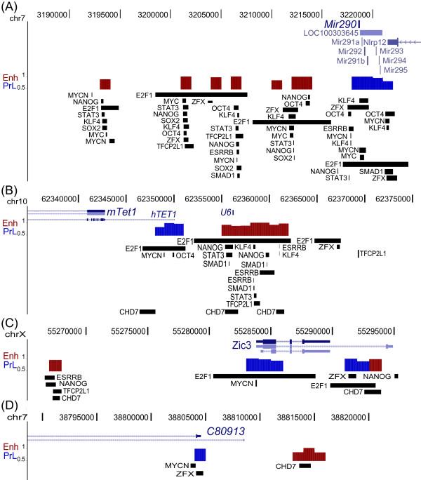 https://cdn.ncbi.nlm.nih.gov/pmc/blobs/aa09/3406964/a74aecf82bdd/1471-2164-13-152-7.jpg
