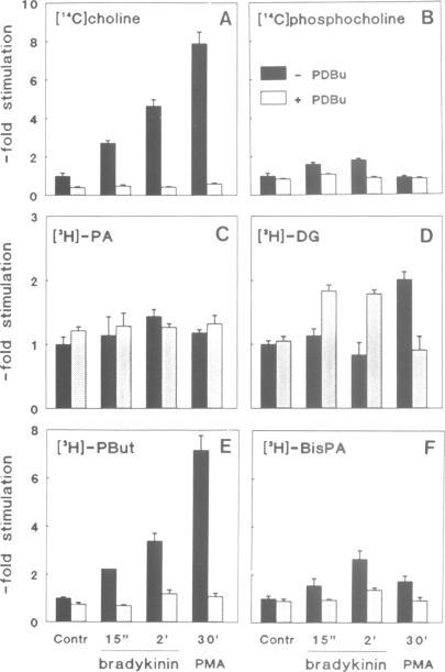 https://cdn.ncbi.nlm.nih.gov/pmc/blobs/aa0a/413513/4d76927c5eb5/emboj00079-0082-a.jpg