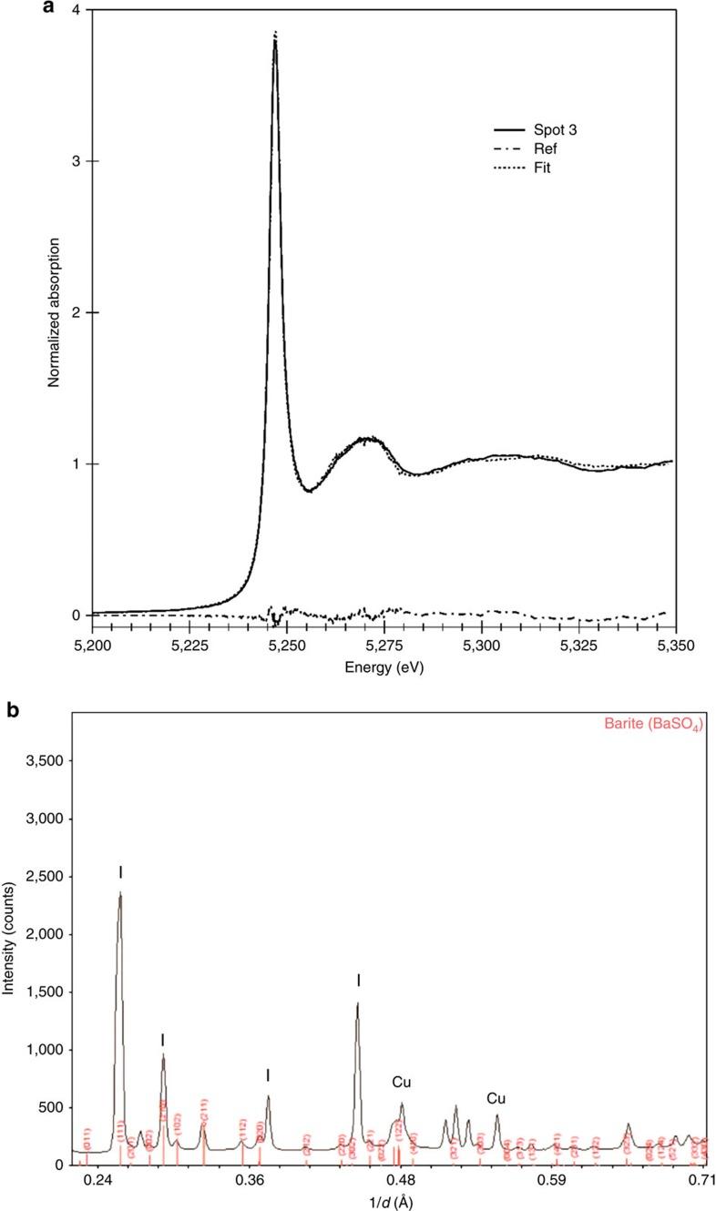 https://cdn.ncbi.nlm.nih.gov/pmc/blobs/aa0d/5333131/00049b050616/ncomms14393-f6.jpg
