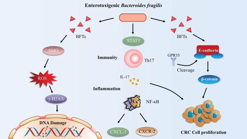 https://cdn.ncbi.nlm.nih.gov/pmc/blobs/aa0e/10627710/2d5cefc5d0d5/medi-102-e35727-g007.jpg