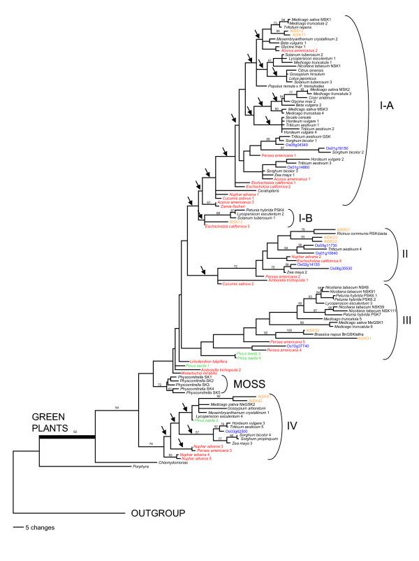 https://cdn.ncbi.nlm.nih.gov/pmc/blobs/aa0f/1524769/3f8485e583bd/1471-2229-6-3-7.jpg