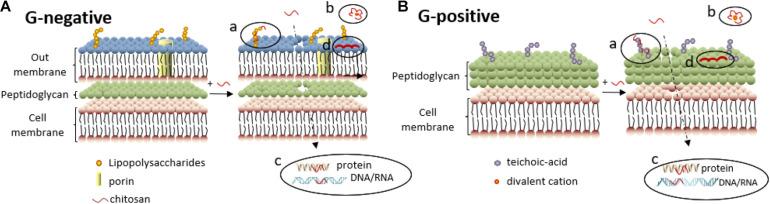 https://cdn.ncbi.nlm.nih.gov/pmc/blobs/aa13/7931995/1e40a255e873/fbioe-09-650598-g005.jpg