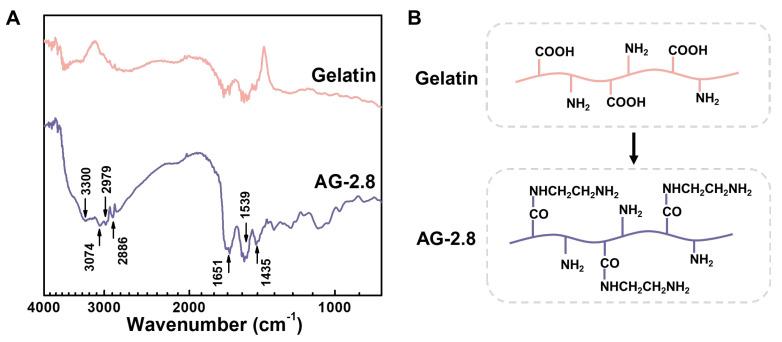 https://cdn.ncbi.nlm.nih.gov/pmc/blobs/aa14/10379275/28b17b14aab9/gels-09-00589-g002.jpg