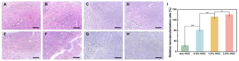 https://cdn.ncbi.nlm.nih.gov/pmc/blobs/aa14/10379275/3d64381fdfe5/gels-09-00589-g006.jpg