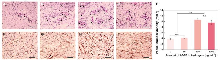 https://cdn.ncbi.nlm.nih.gov/pmc/blobs/aa14/10379275/aa85751db675/gels-09-00589-g007.jpg