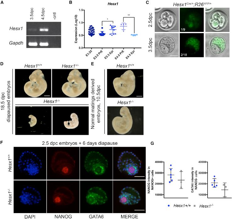 https://cdn.ncbi.nlm.nih.gov/pmc/blobs/aa14/6915801/86ebf8baa4e1/gr1.jpg