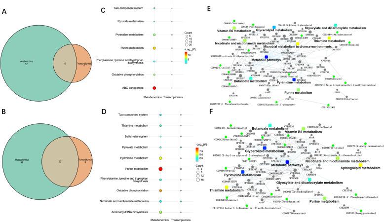 https://cdn.ncbi.nlm.nih.gov/pmc/blobs/aa15/12257667/0dfa24c640d5/40104_2025_1228_Fig6_HTML.jpg