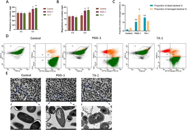 https://cdn.ncbi.nlm.nih.gov/pmc/blobs/aa15/12257667/f8c99954046a/40104_2025_1228_Fig1_HTML.jpg