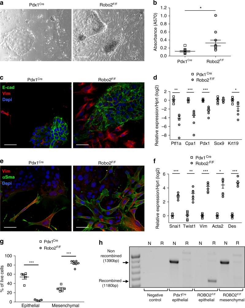 https://cdn.ncbi.nlm.nih.gov/pmc/blobs/aa15/6269509/0f2d117e4870/41467_2018_7497_Fig2_HTML.jpg
