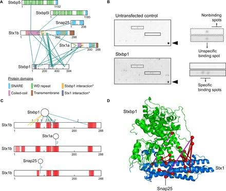 https://cdn.ncbi.nlm.nih.gov/pmc/blobs/aa15/7030922/d29c43a96023/aax5783-F4.jpg
