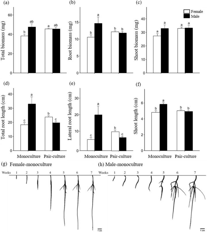 https://cdn.ncbi.nlm.nih.gov/pmc/blobs/aa15/8245536/423fc726157b/41438_2021_598_Fig2_HTML.jpg