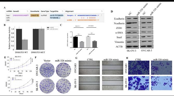 https://cdn.ncbi.nlm.nih.gov/pmc/blobs/aa16/11682247/50faea9b136e/41598_2024_83170_Fig4_HTML.jpg