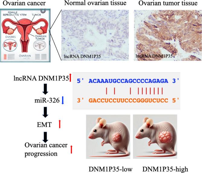 https://cdn.ncbi.nlm.nih.gov/pmc/blobs/aa16/11682247/b11087882da3/41598_2024_83170_Fig6_HTML.jpg